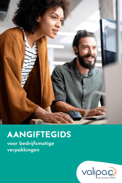 Aangiftegids Nl