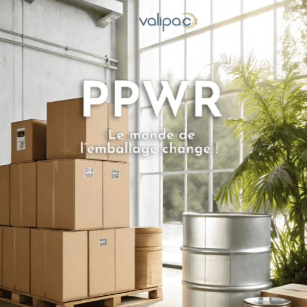 Design Sans Titre 1 2