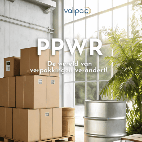 Design Sans Titre 2 1